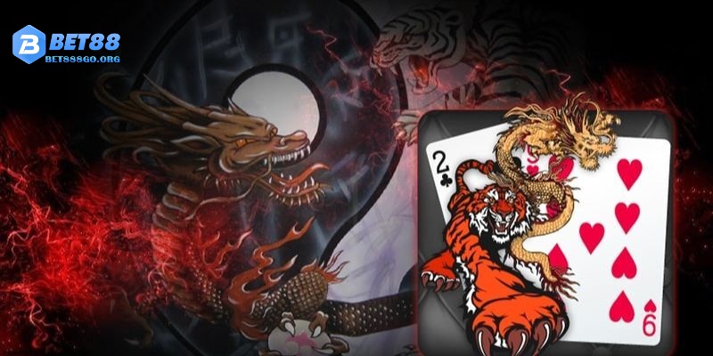 Thuật ngữ tại Rồng Hổ online cũng là yếu tố quan trọng